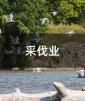 ɷI(y)