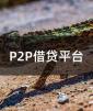 P2PJƽ_