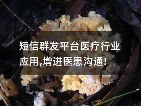 Ⱥl(f)ƽ_t(y)ИI(y)(yng),M(jn)t(y)ͨ!
