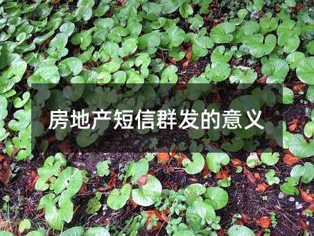 خa(chn)Ⱥl(f)x