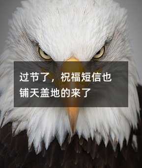 ^(gu)(ji)ףҲwصā(li)
