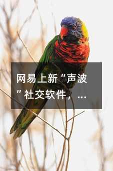 W(wng)¡罻ܛO˶Ųƽ_