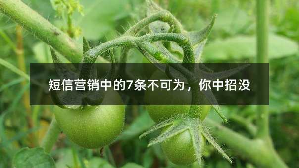短信營銷中的7條不可為,你中招沒