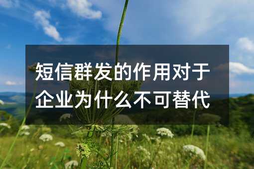短信群發(fā)的作用對(duì)于企業(yè)為什么不可替代