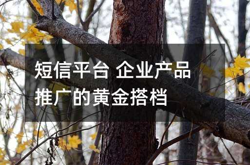 ƽ_ I(y)a(chn)ƷƏVSn