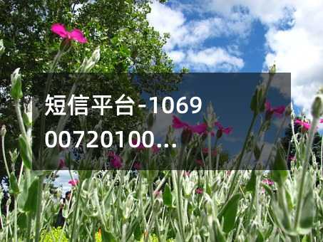 短信平臺-1069007201001是什么短信平臺?