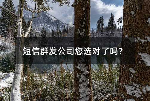 短信群發(fā)公司您選對了嗎?