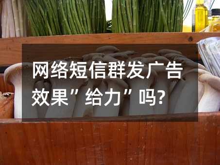 W(wng)j(lu)Ⱥl(f)VЧo?