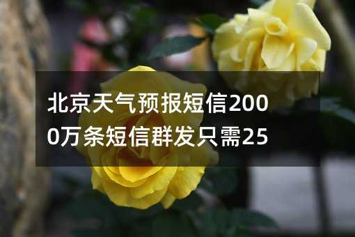 北京天氣預(yù)報(bào)短信2000萬條短信群發(fā)只需25分鐘