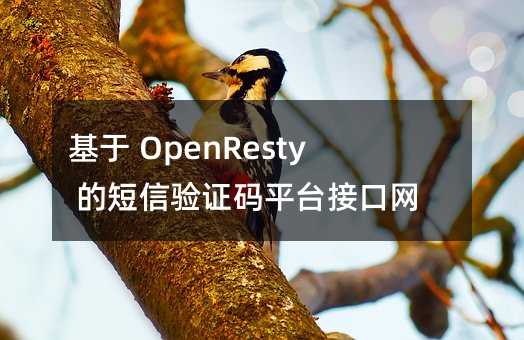 基于 OpenResty 的短信驗(yàn)證碼平臺(tái)接口網(wǎng)關(guān)設(shè)計(jì)