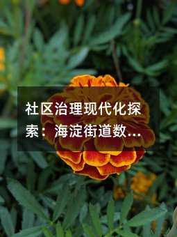^(q)F(xin)ֵ̽(sh)ֻ(w)ƽ_(ti)O(sh)ʾ