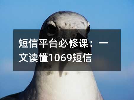 ƽ_(ti)nһx1069ͨ