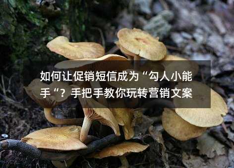 ׌Nųɞ顰С֡ְֽD(zhun)INİ