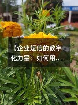 I(y)ŵĔ(sh)ֻСС˄(dng)Ј(chng)