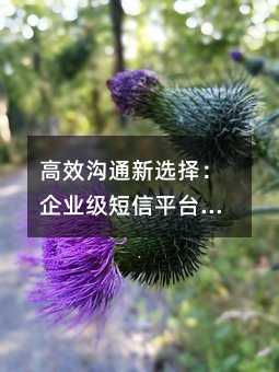 ЧͨxI(y)ƽ_ǻۑ(yng)ָ