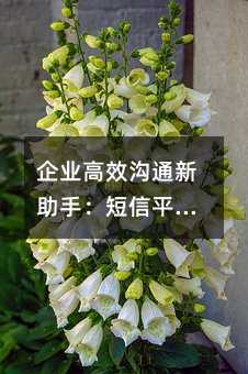 I(y)Ч֣ͨƽ_Ķ(yng)Ì(sh)`