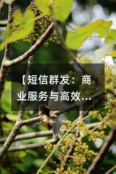 Ⱥl(f)̘I(y)(w)cЧǻ֡
