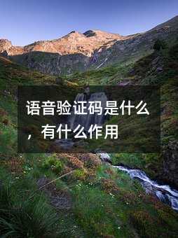 Z(yn)Caʲôʲô