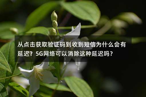 c(din)@ȡ(yn)CaյŞʲô(hu)t5GW(wng)j(lu)@Nt