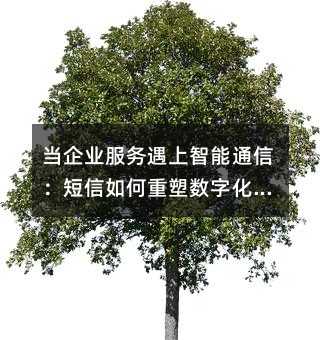 (dng)I(y)(w)ͨţܔ(sh)ֻD(zhun)·