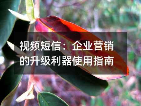 ҕlţI(y)I(yng)N(xio)(j)ʹָ