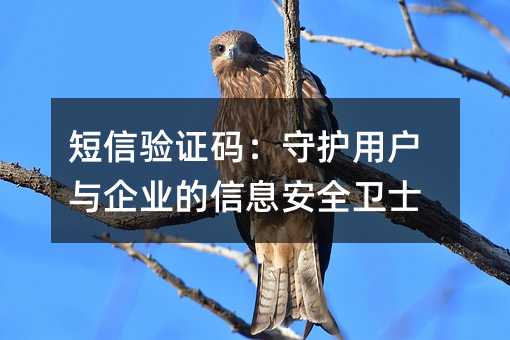 CaoÑcI(y)Ϣȫl(wi)ʿ