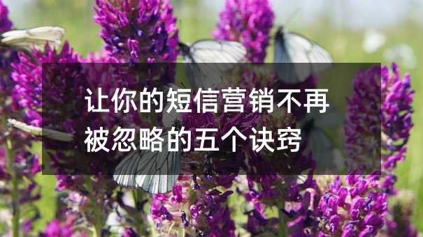 ׌ĶŠI(yng)NٱԵ傀(g)E[