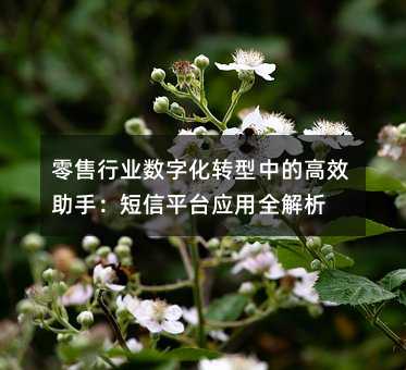 ИI(y)(sh)ֻD(zhun)еĸЧ֣ƽ_(ti)(yng)ȫ