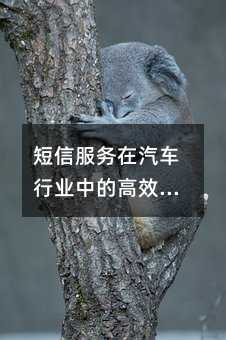 ŷ(w)܇(ch)ИI(y)еĸЧ(yng)ָ