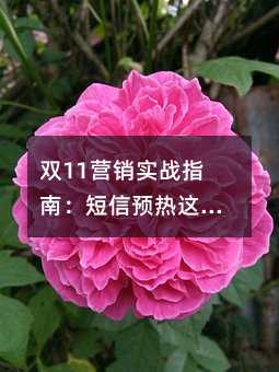 p11IN(zhn)ָϣA(y)@D(zhun)30%