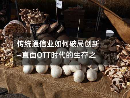 y(tng)ͨŘI(y)ƾք(chung)¡ֱOTTr(sh)֮