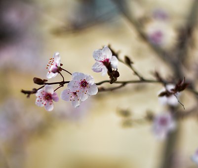 群發(fā)短信在服務(wù)行業(yè)中的作用和應(yīng)用