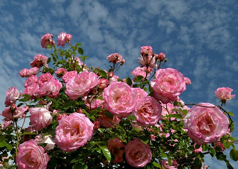 ĸƷ䁃(yu)ݴNȺl(f)ģ