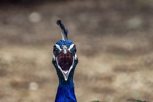 W(wng)ƽ_ôx,ĂYx(bio)(zhn)!