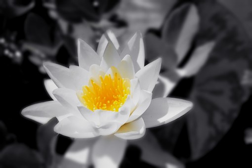 x(yu)|VĶƽ_