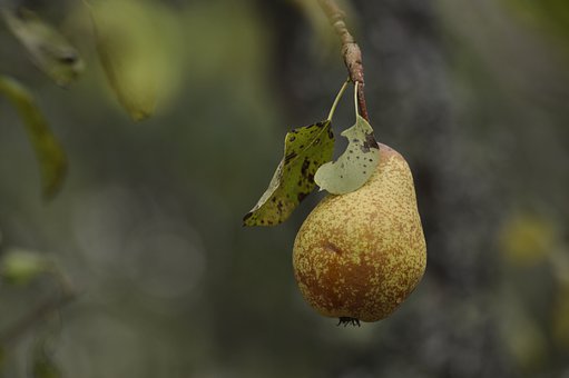 手機(jī)短信營(yíng)銷可以適用于哪些行業(yè)