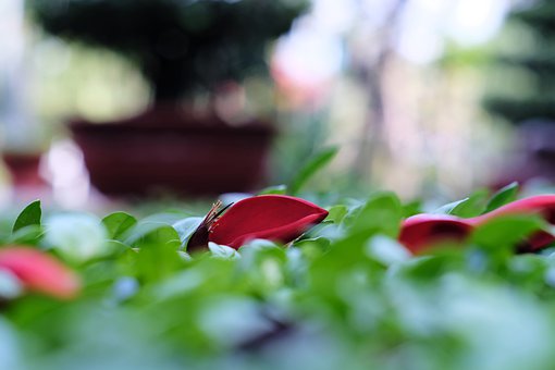 營銷短信發(fā)送效果不好?調(diào)節(jié)下短信發(fā)送時間