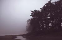 ƽ_O(sh)ӋҾИI(y)IN