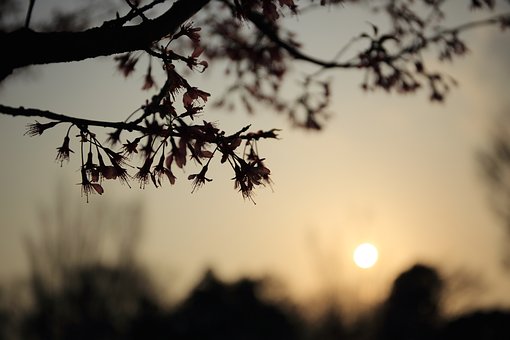 ŠINؑʸ_15
