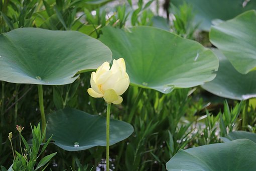 繝(ji)NȺl(f)Ń(ni)@Ӿ݋Ч