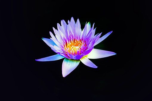 (chng)Ĭżĵ÷