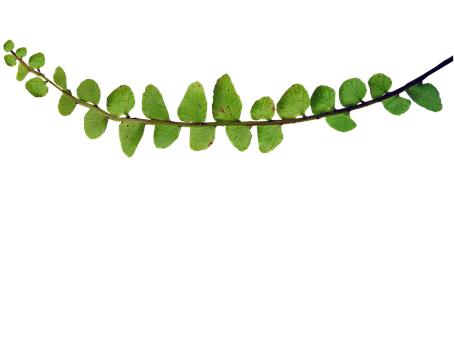 用哪個(gè)短信平臺(tái)發(fā)短信好?