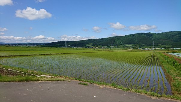 營(yíng)銷(xiāo)新寵—視頻短信群發(fā)五大優(yōu)勢(shì),推廣效果比肩抖音!