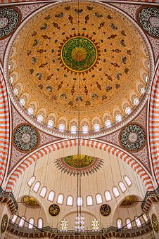 (hu)TŠI(yng)N(xio)ôI(y)I(y)(j)