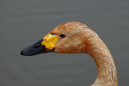 yƷõĶȺl(f)ģ