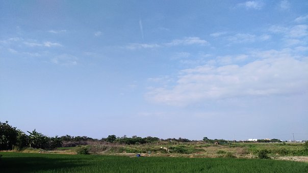 網(wǎng)約車如何使用群發(fā)短信軟件