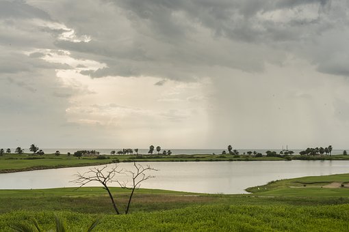 Caճеđ